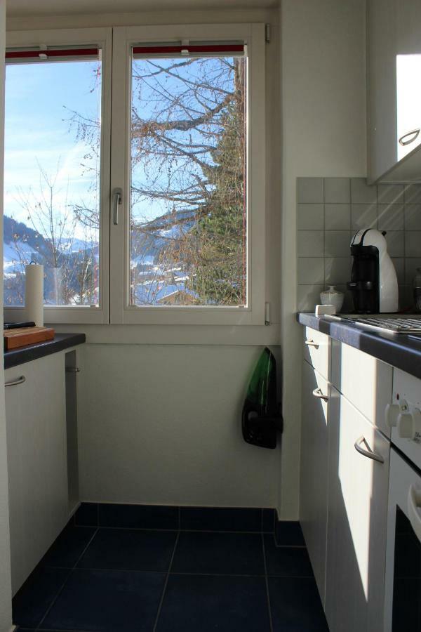 The Engstligen Apartment Adelboden Exterior foto