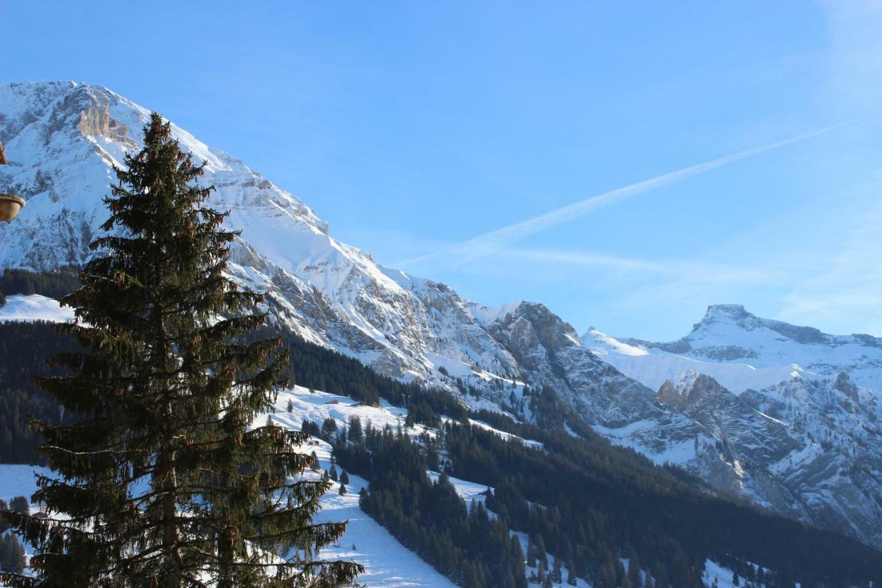 The Engstligen Apartment Adelboden Exterior foto