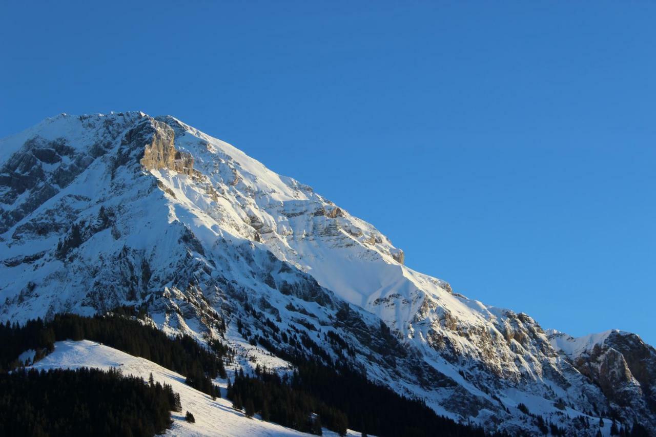 The Engstligen Apartment Adelboden Exterior foto