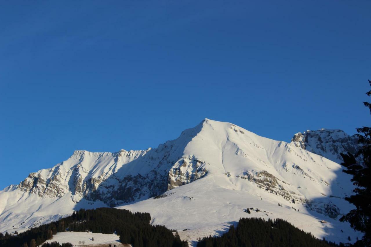 The Engstligen Apartment Adelboden Exterior foto
