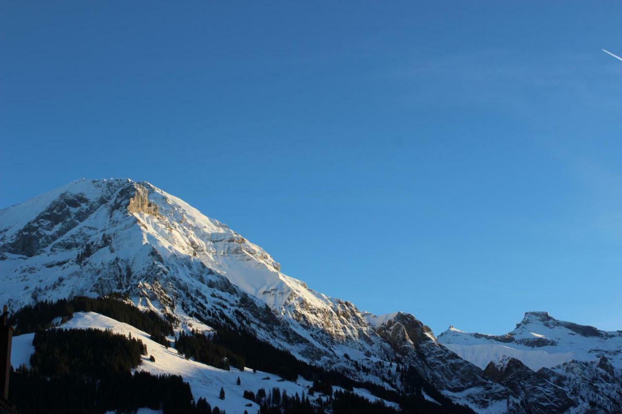 The Engstligen Apartment Adelboden Exterior foto